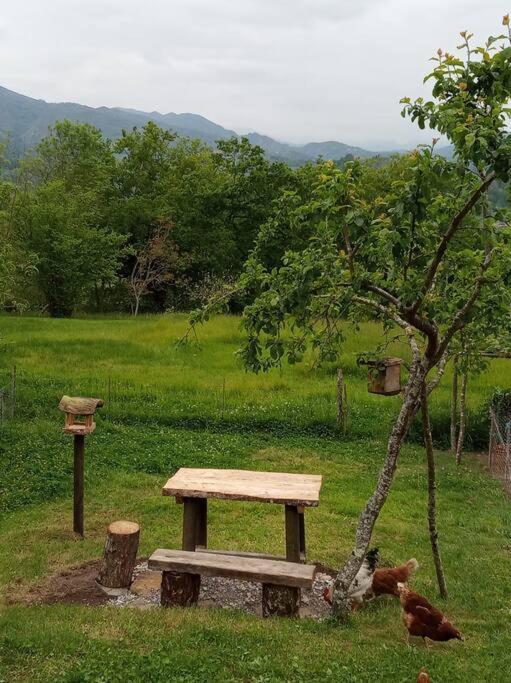 Casa Rural El Cotu En Кангас-де-Онис Экстерьер фото